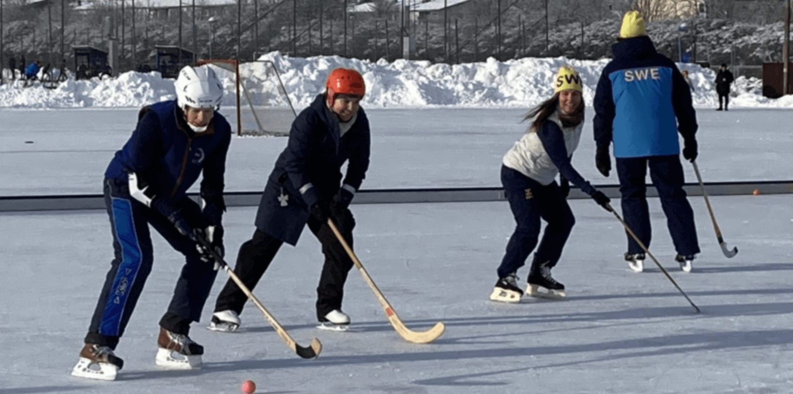 Skridskoåkning - Spånga