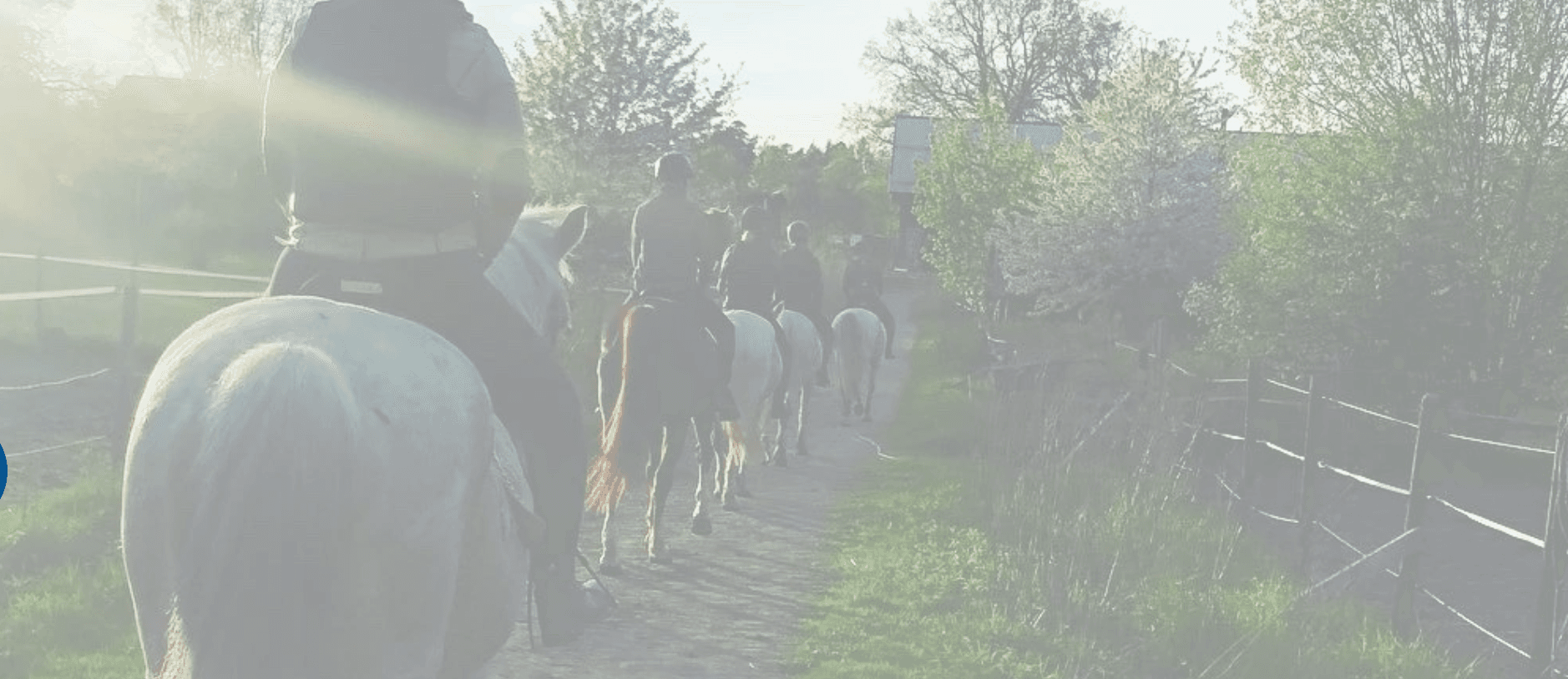 Viggbyholms Ridklubb