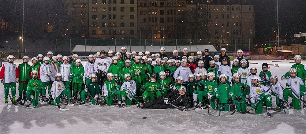 Hammarby IF Bandyförening