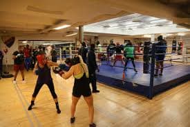 Djurgårdens IF Boxningsförening