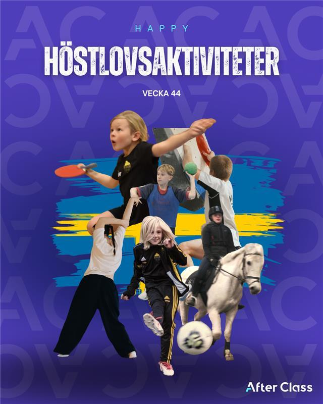 National Sports Day (1)